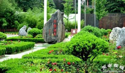 清水县大力推进县域经济提质增效_财经_网