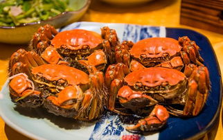 来常州必须吃的美食